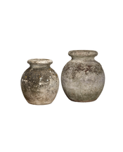 Willy Guhl Planter - Colossal Assorted