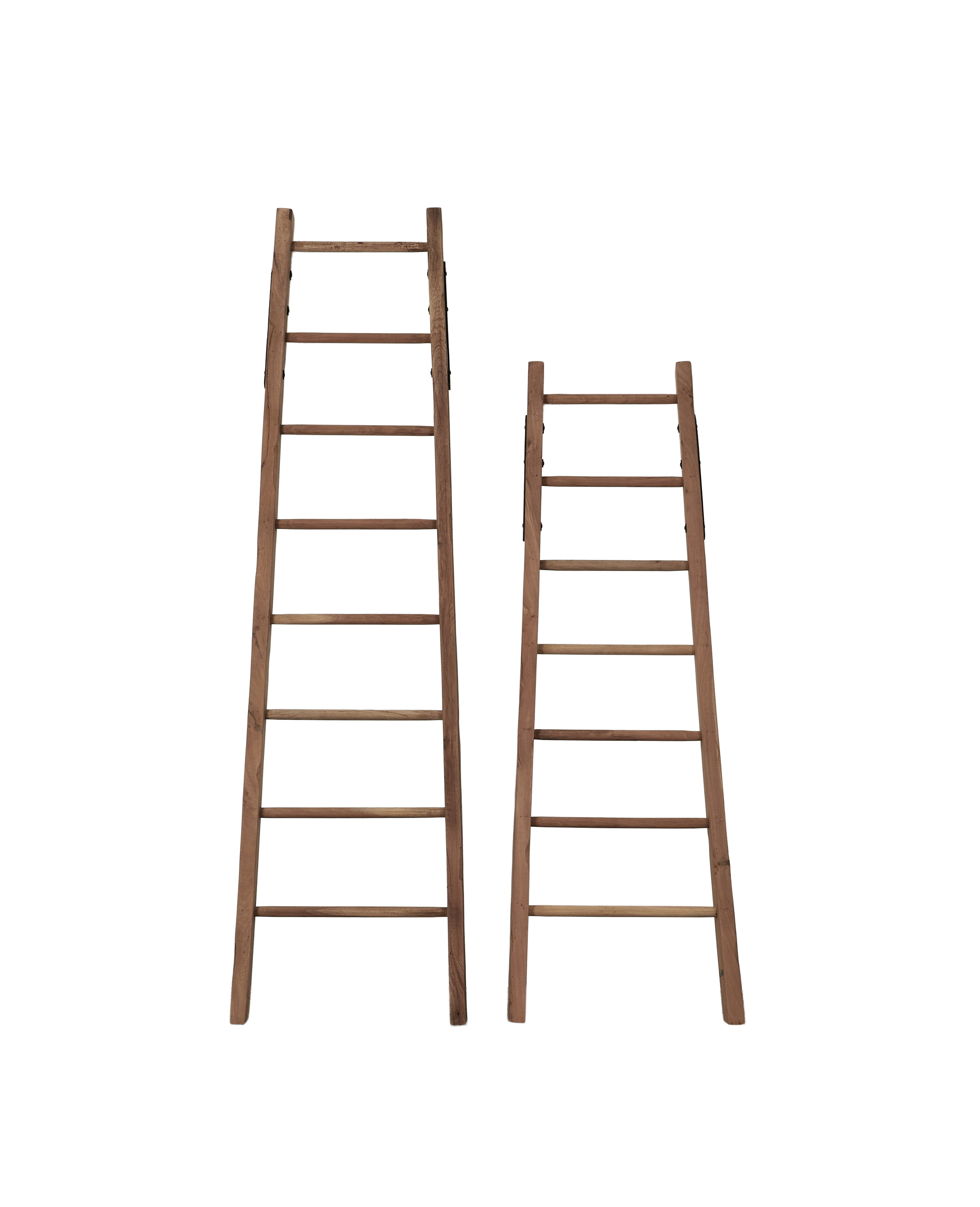 Orchard Ladder