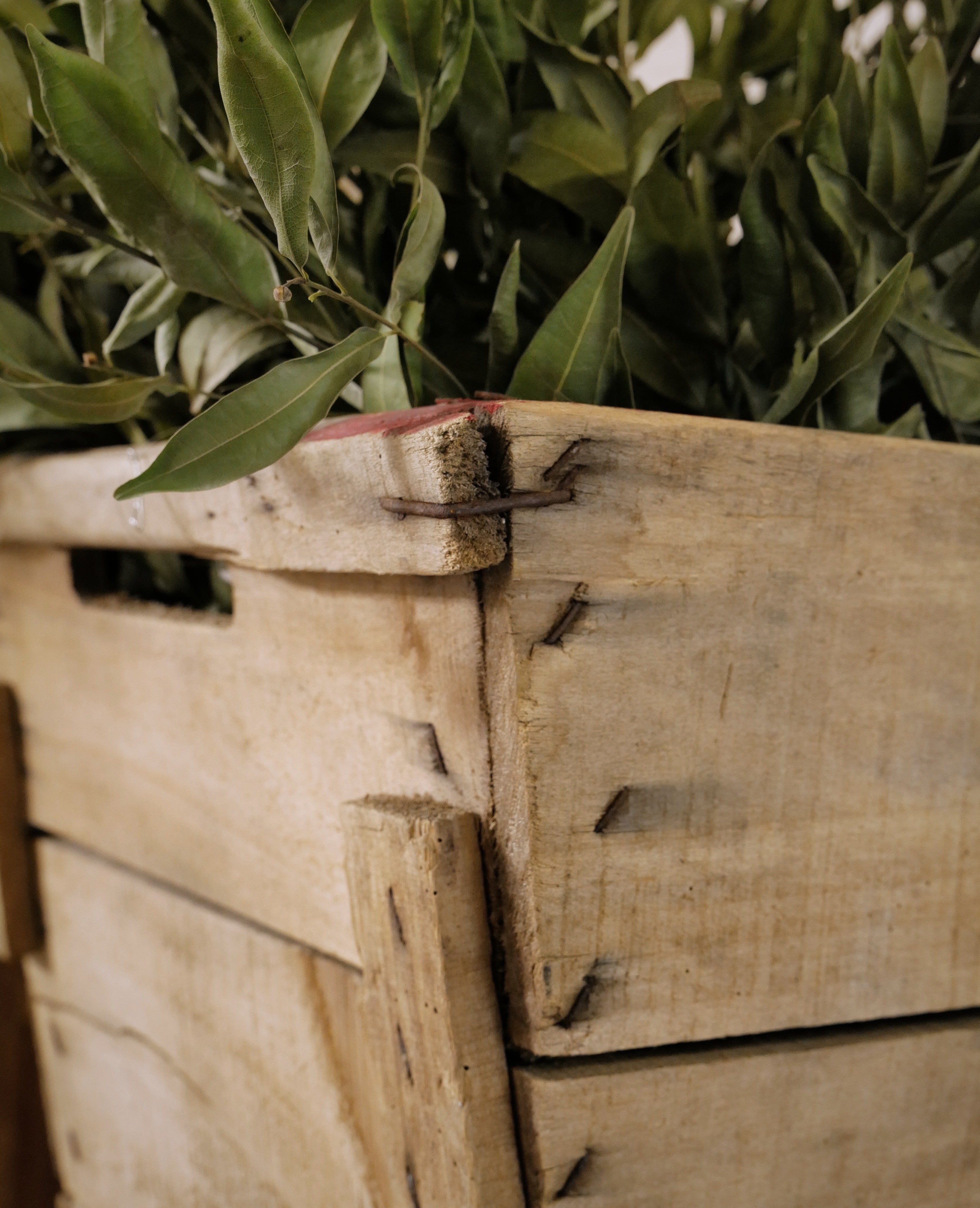 Vintage Champagne Crate from France made of Wood