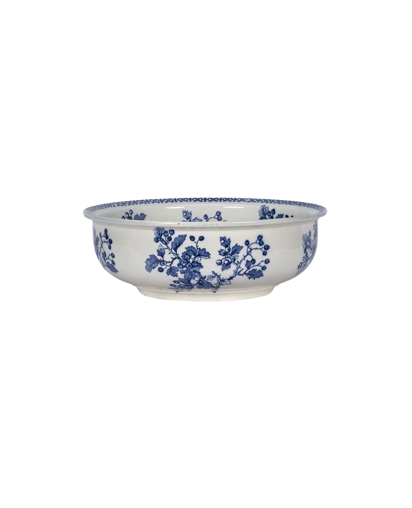 Blueberry Bowl