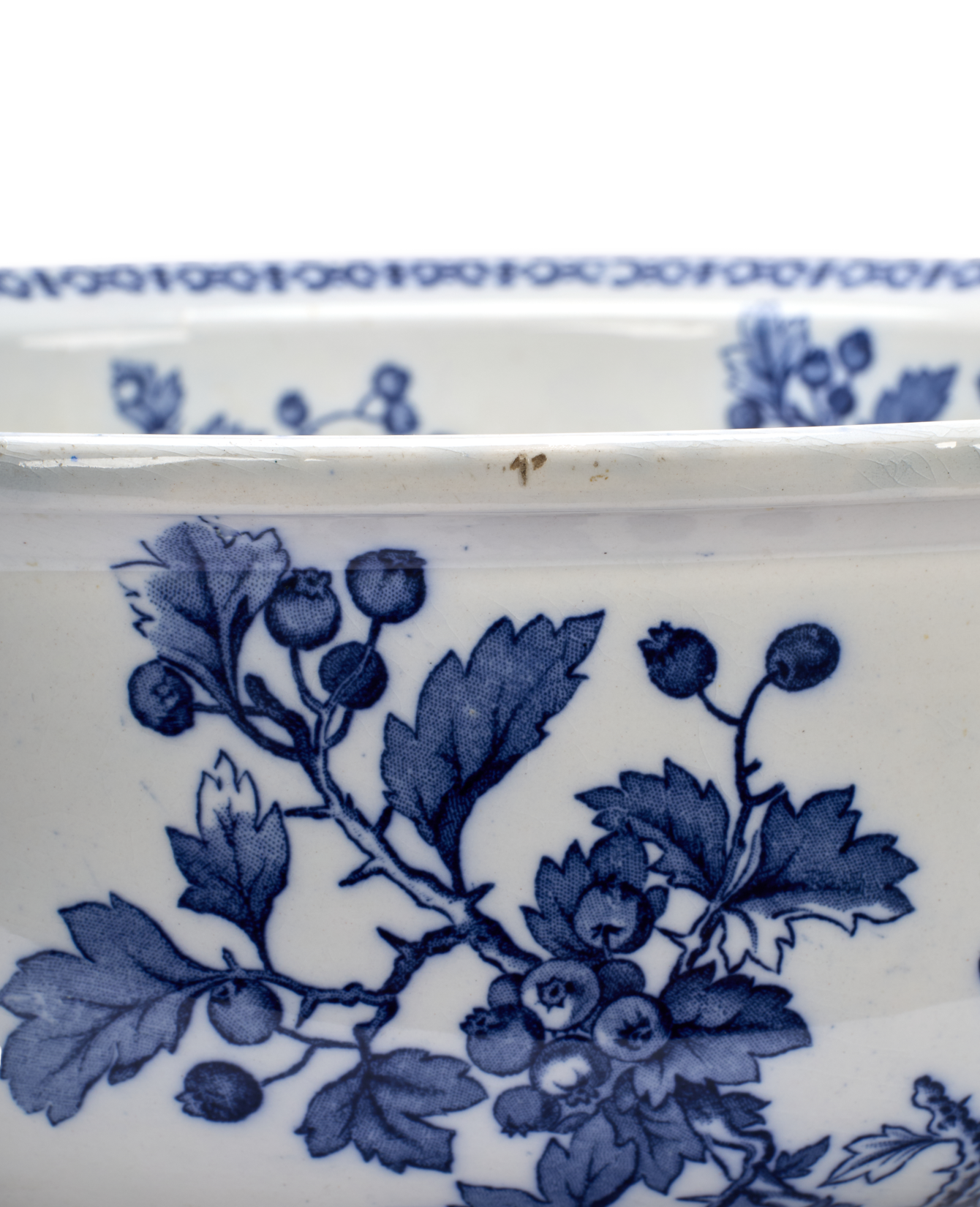 Blueberry Bowl