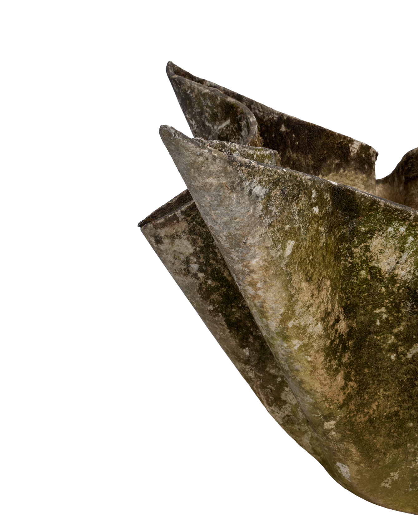 Willy Guhl Planter - Tulip