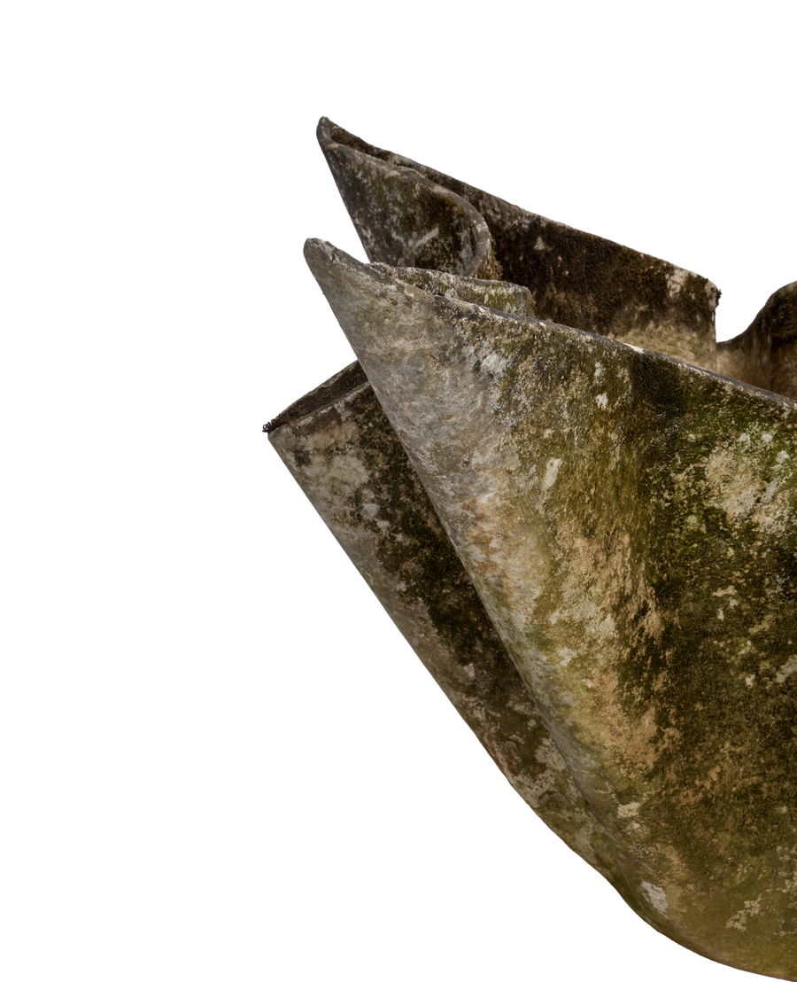 Vintage Willy Guhl Planter - Tulip from Switzerland made of Cement