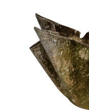 Willy Guhl Planter - Tulip