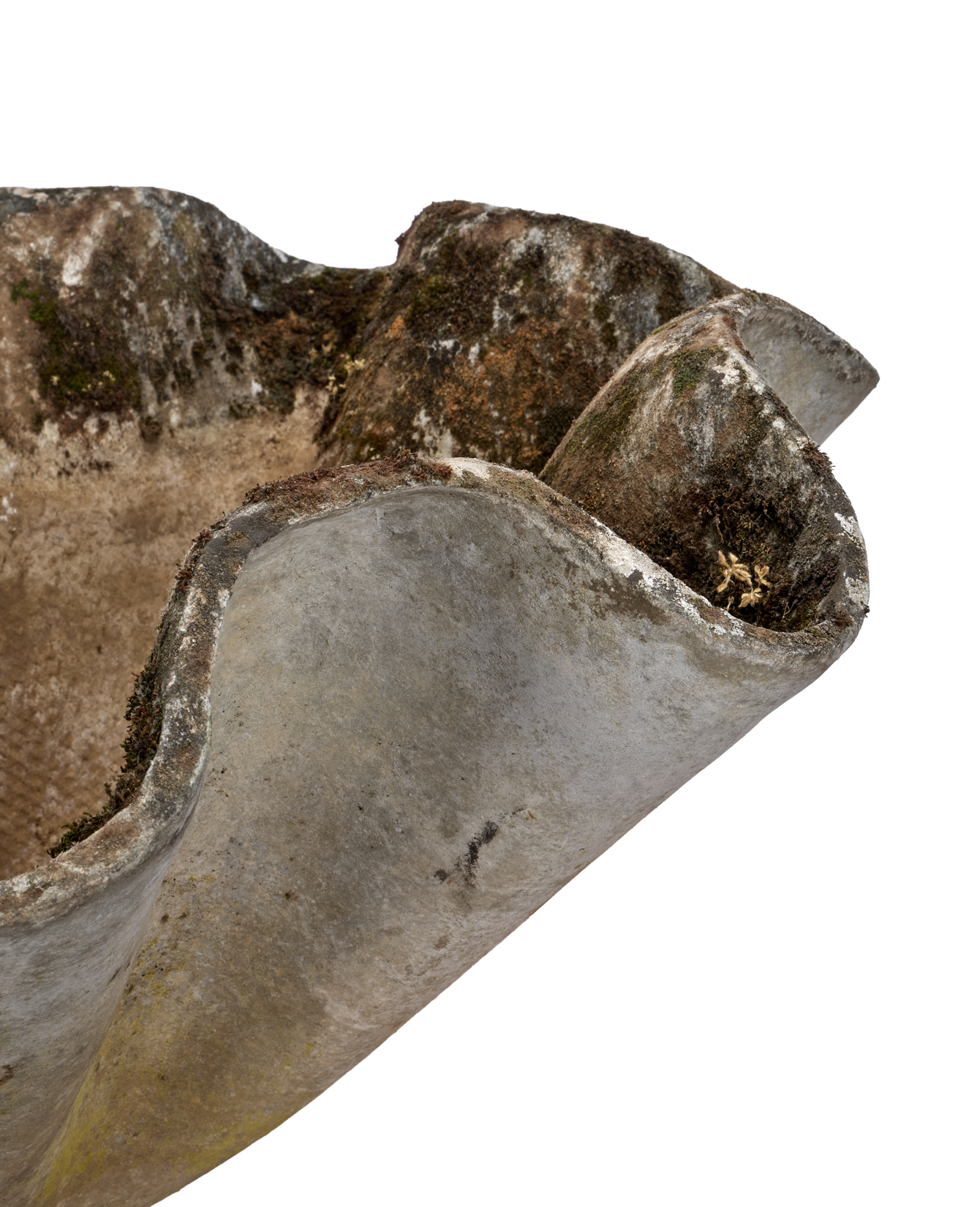 Vintage Willy Guhl Planter - Organic from Switzerland made of Cement