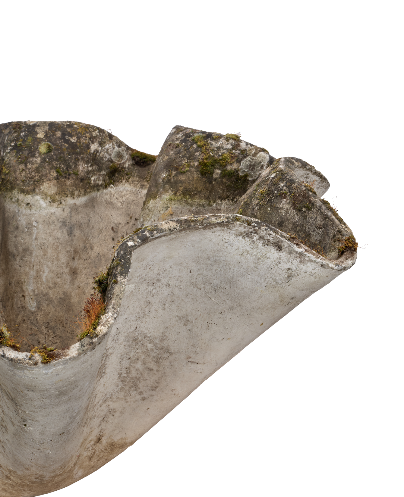 Willy Guhl Planter - Organic