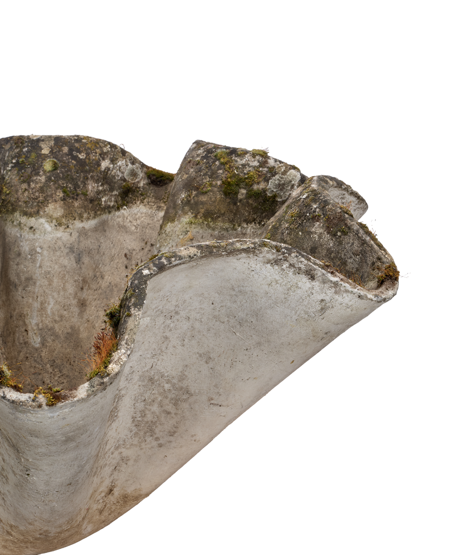 Vintage Willy Guhl Planter - Organic from Switzerland made of Cement