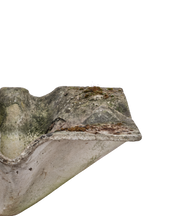 Willy Guhl Planter - Elephant