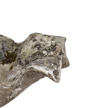 Willy Guhl Planter - Elephant