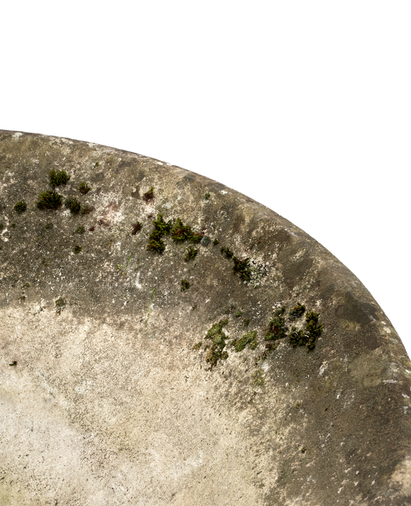 Willy Guhl Planter - Soucoupe