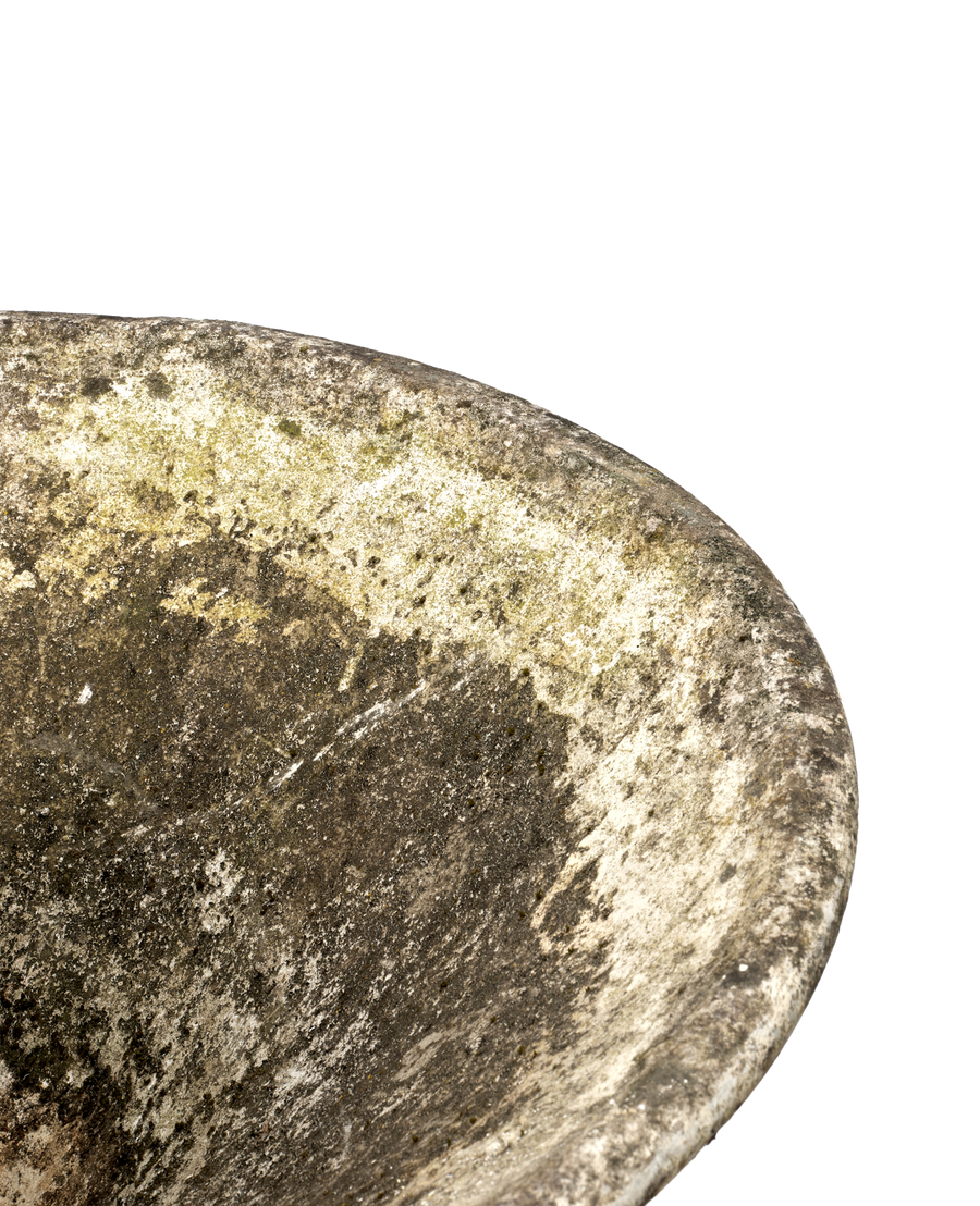 Vintage Willy Guhl Planter - Soucoupe from Switzerland made of Cement