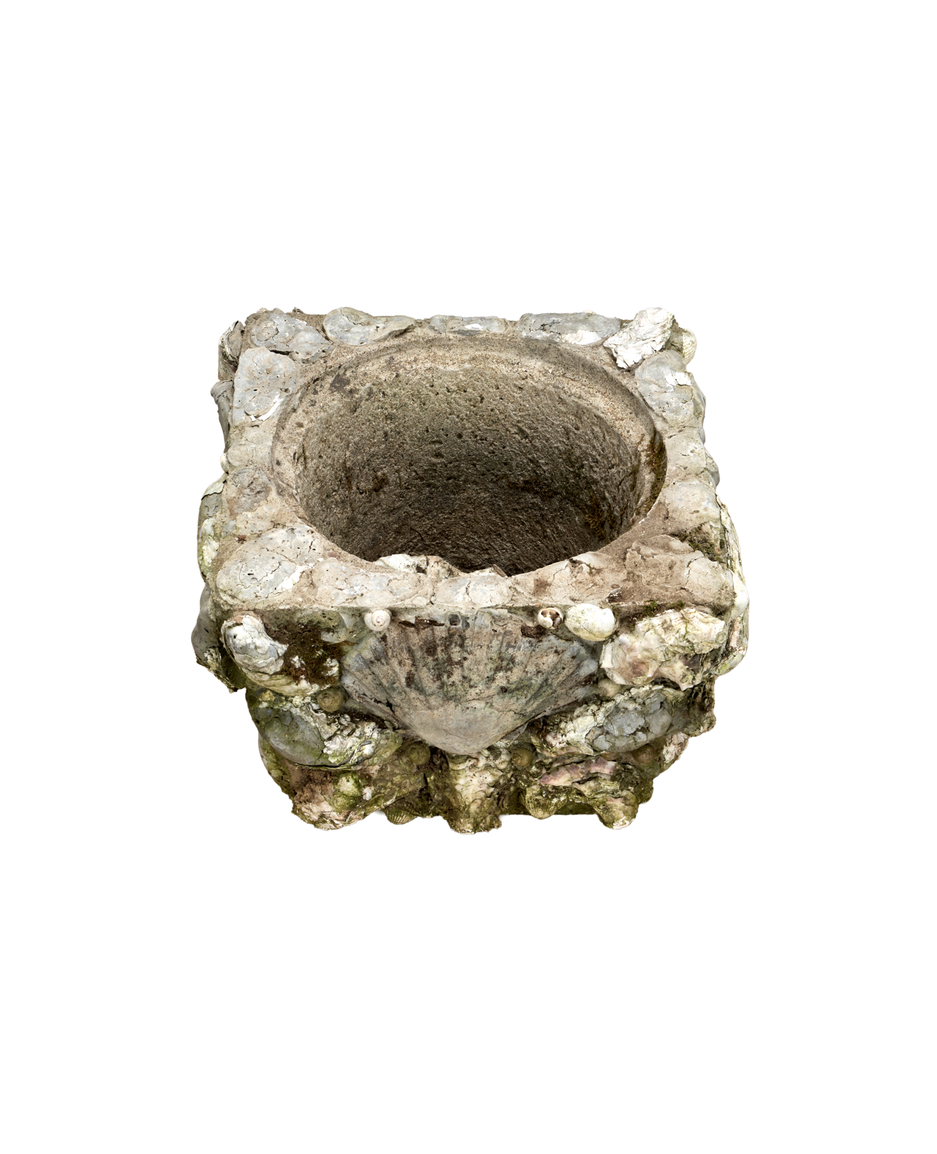 Shell Planters