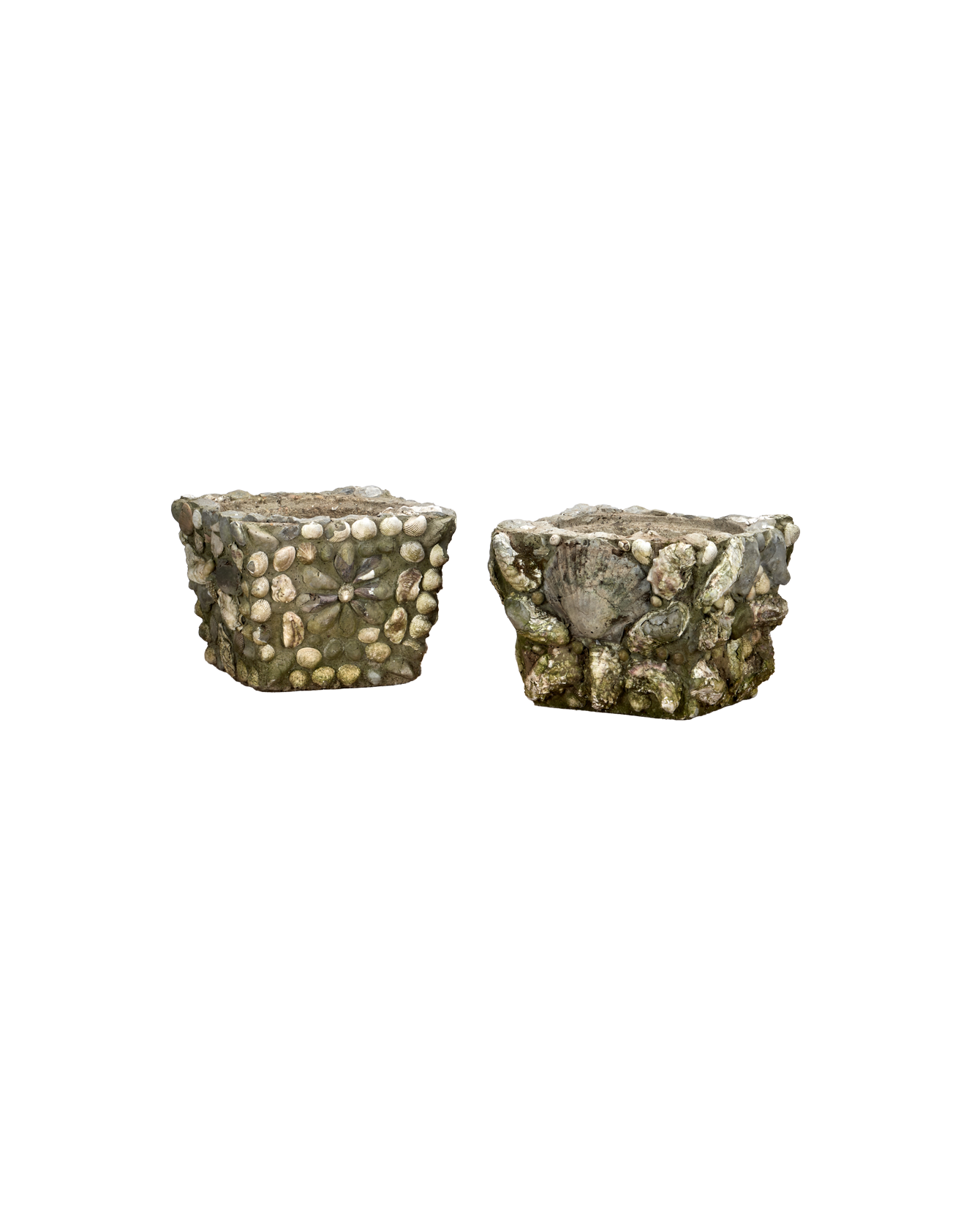 Shell Planters