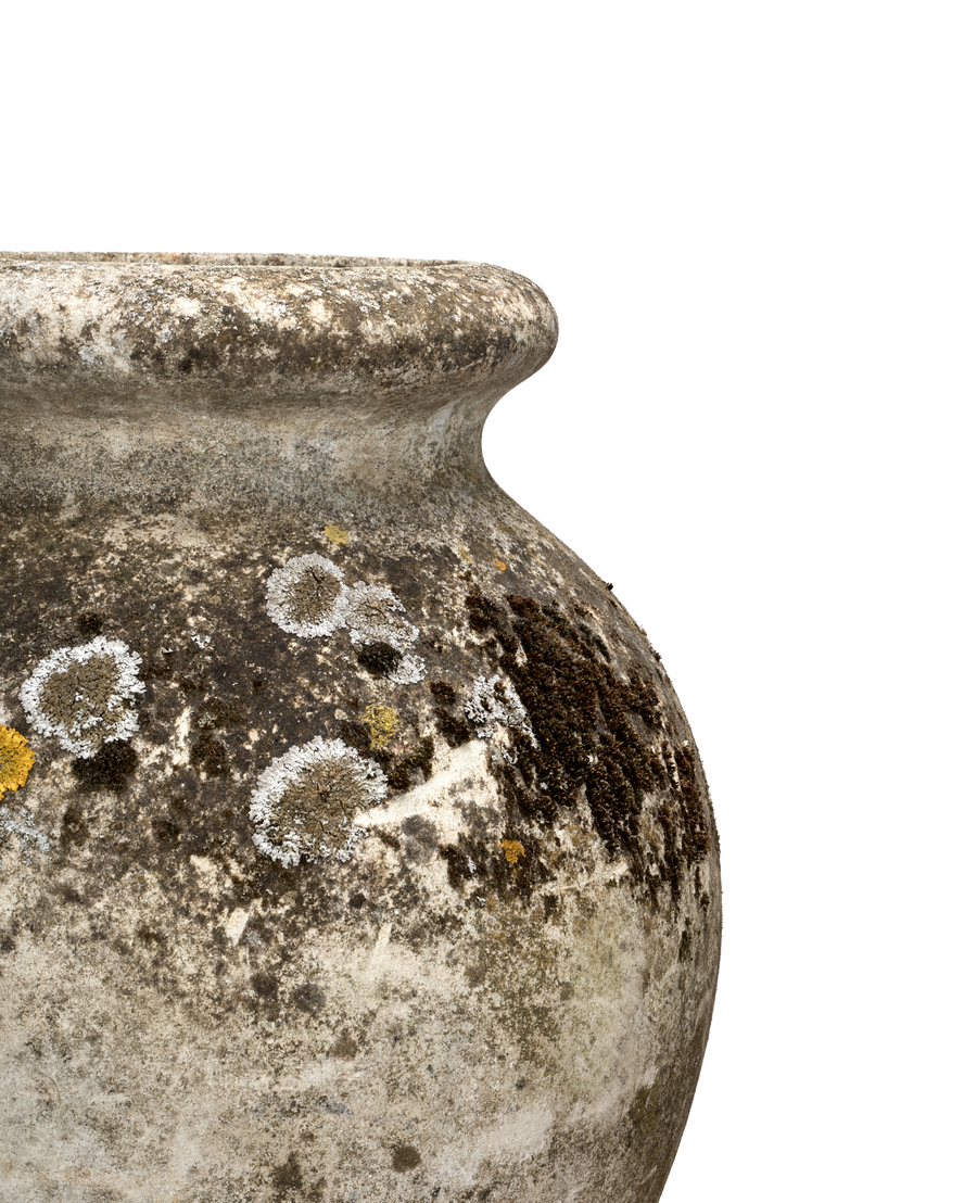 Vintage Willy Guhl Planter - Colossal from Switzerland made of Cement