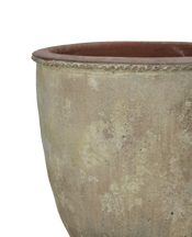 Terrace Planter