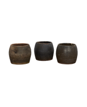 Persimmon Planter