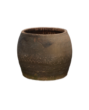 Persimmon Planter