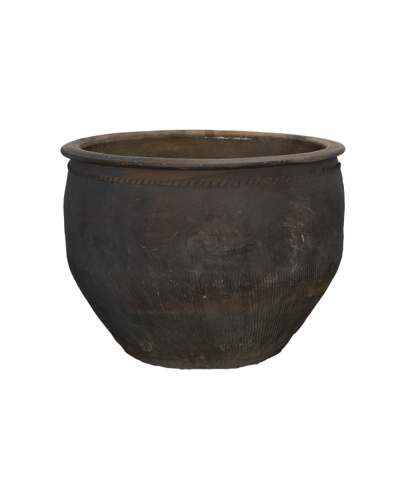 Water Planter