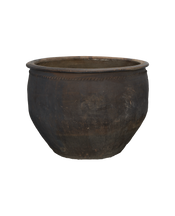 Water Planter