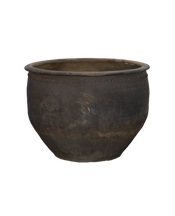 Water Planter