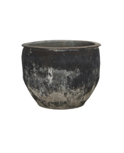 Water Planter