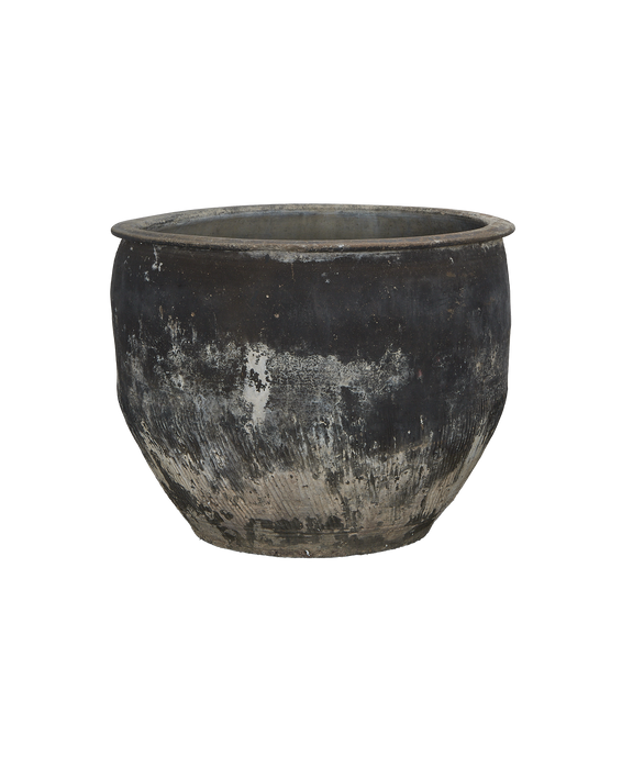 Water Planter