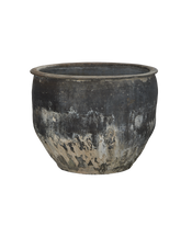Water Planter