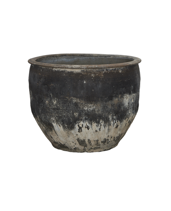 Water Planter