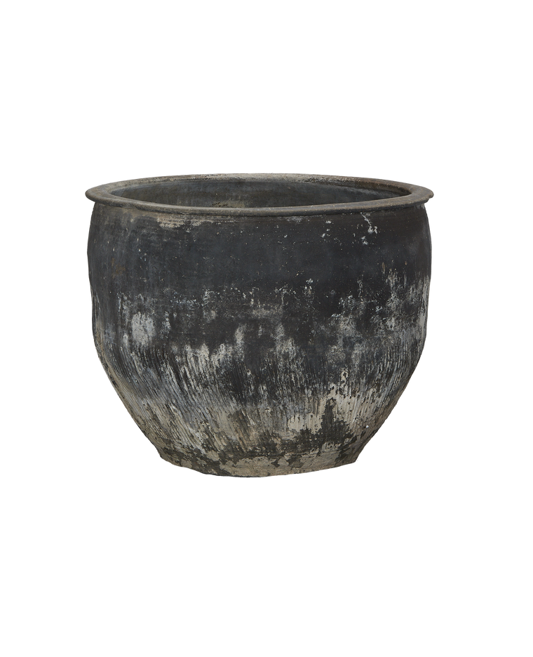Water Planter