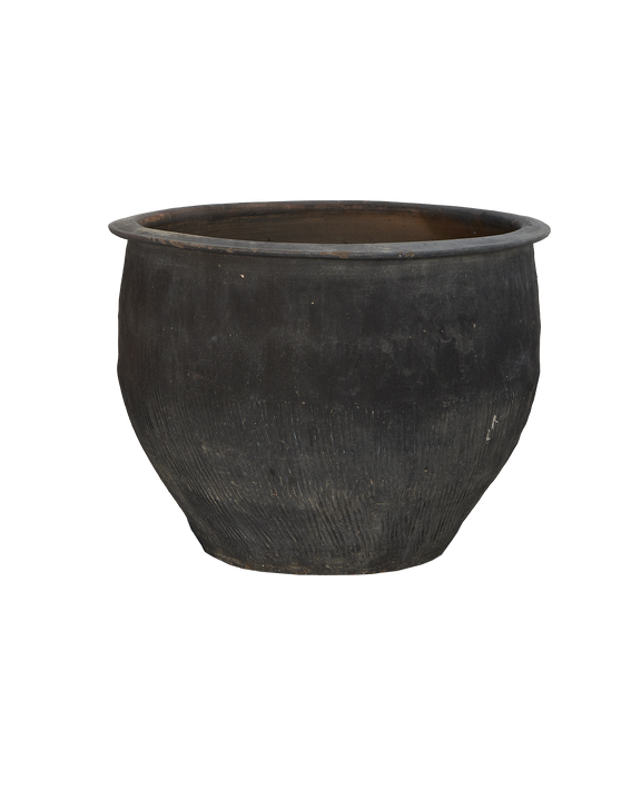Water Planter