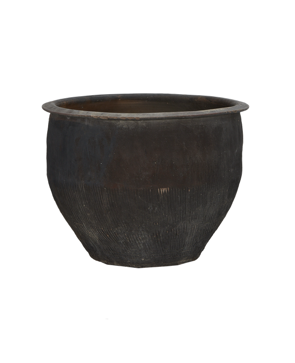 Water Planter