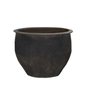 Water Planter
