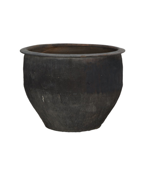 Water Planter