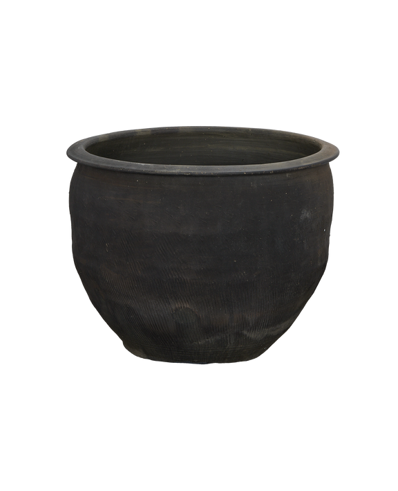 Water Planter