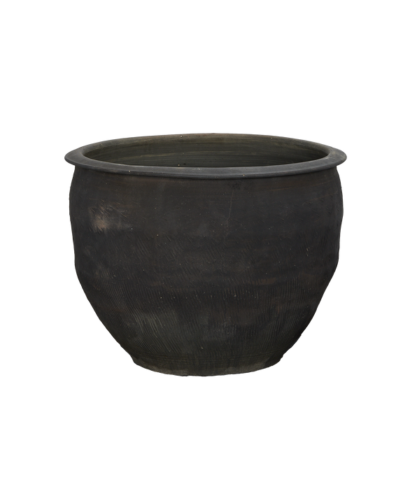 Water Planter