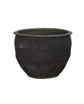 Water Planter