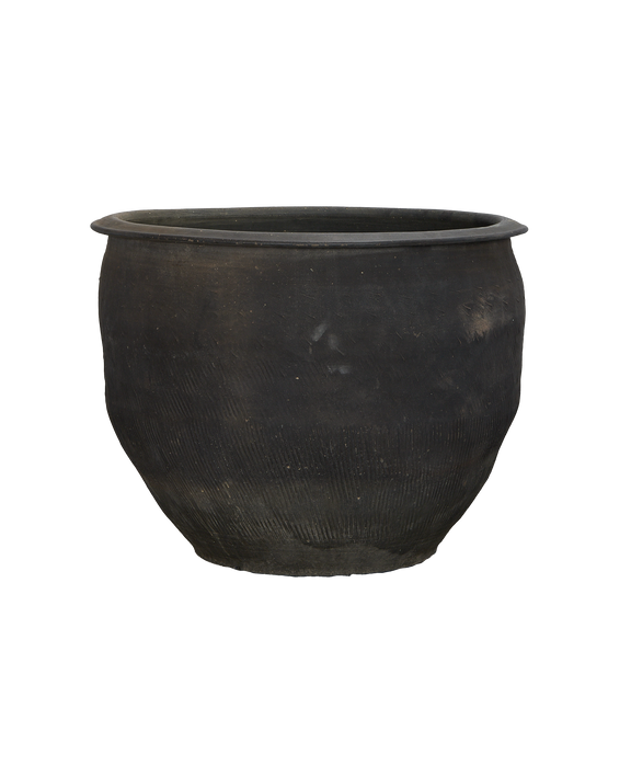 Water Planter
