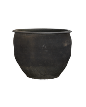 Water Planter