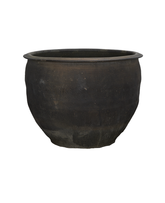 Water Planter