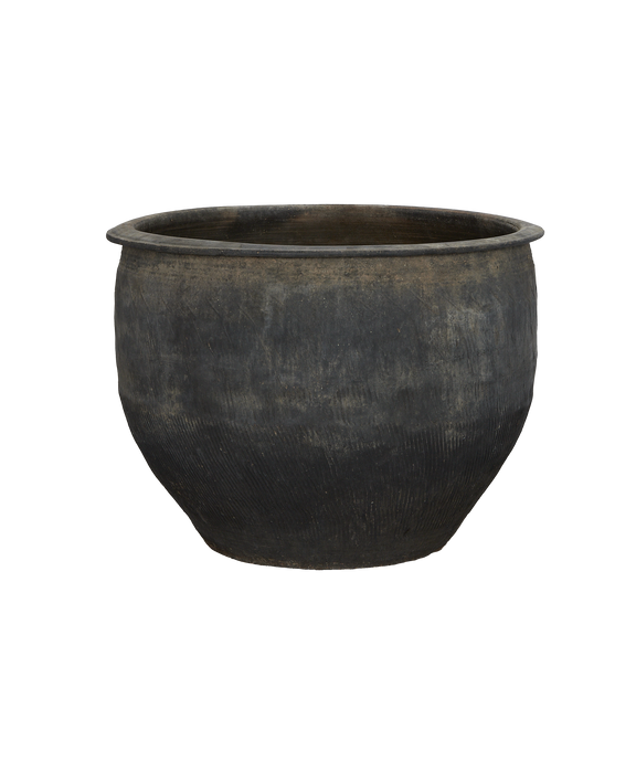 Water Planter