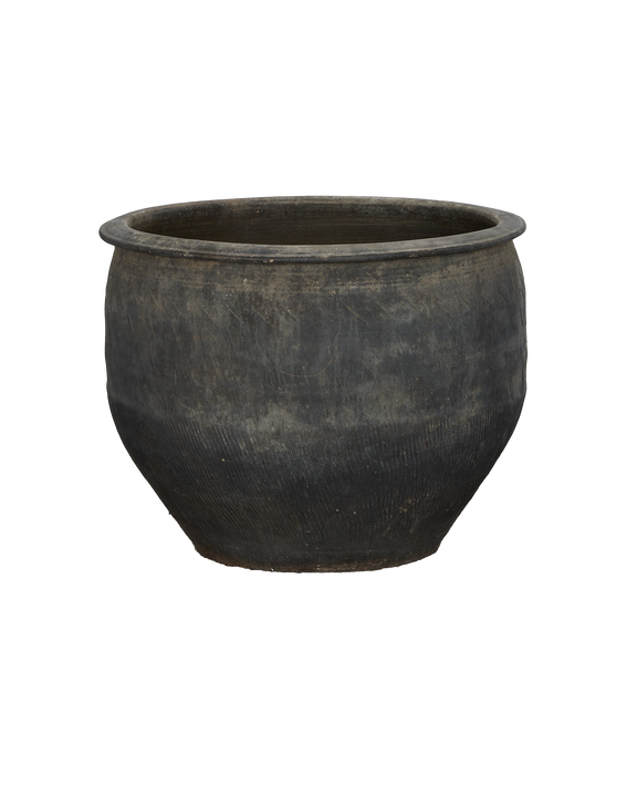 Water Planter
