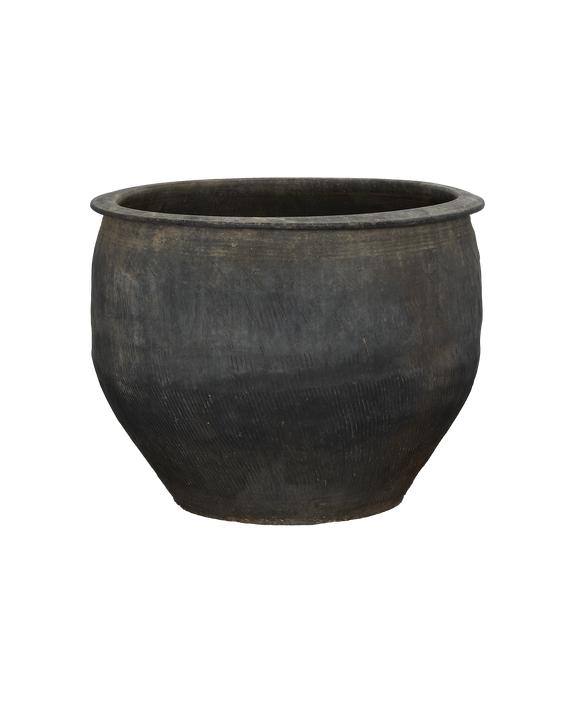 Water Planter