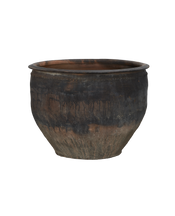 Water Planter