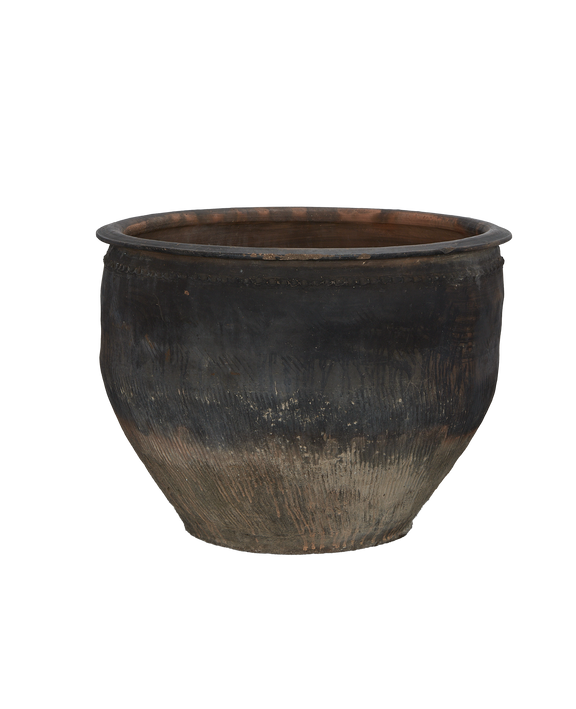Water Planter
