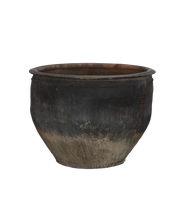 Water Planter