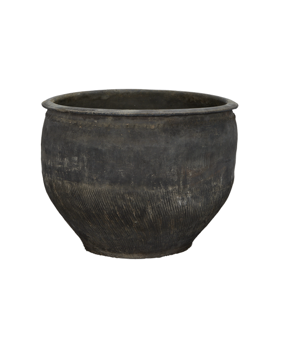 Water Planter