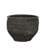 Water Planter