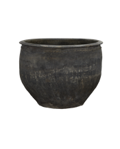 Water Planter