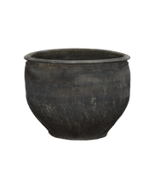 Water Planter