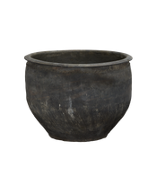 Water Planter